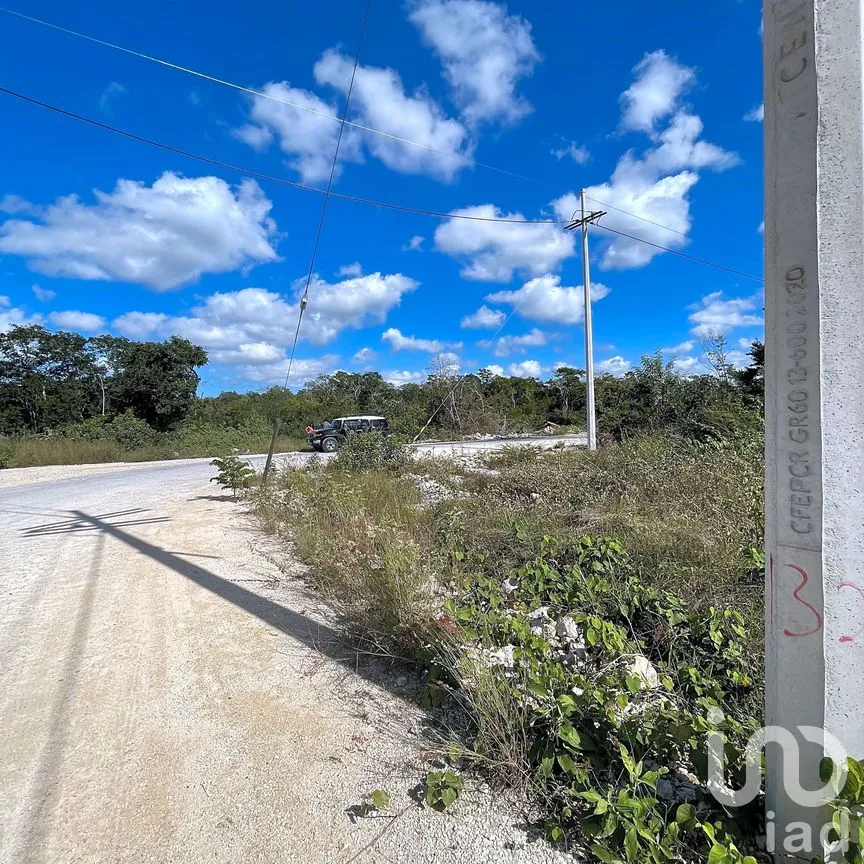 Terreno en Venta en Papagayos, Hunucmá, Yucatán | NEX-199028 | iad México | Foto 2 de 13