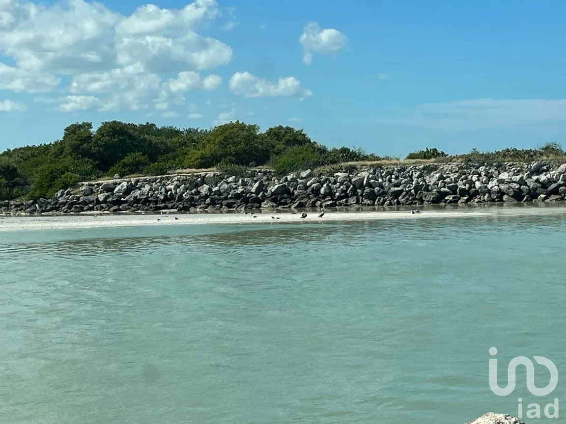 Terreno en Venta en Papagayos, Hunucmá, Yucatán | NEX-199028 | iad México | Foto 13 de 13