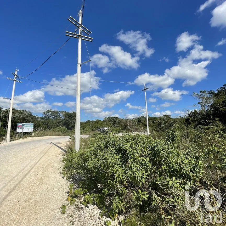 Terreno en Venta en Papagayos, Hunucmá, Yucatán | NEX-199028 | iad México | Foto 3 de 13