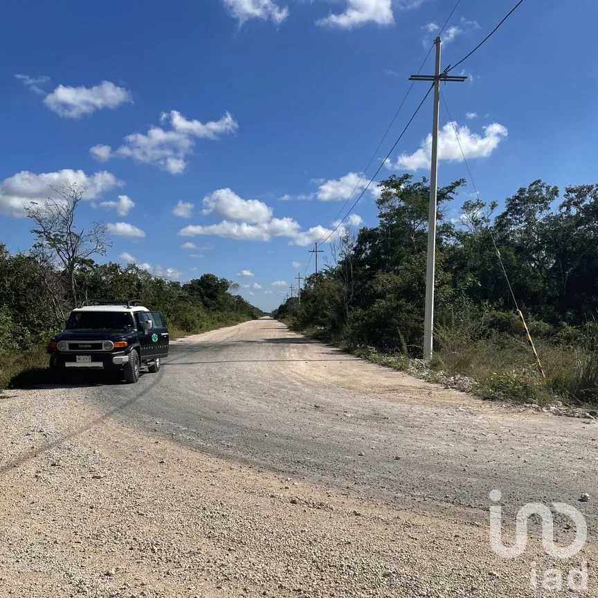 Terreno en Venta en Papagayos, Hunucmá, Yucatán | NEX-199028 | iad México | Foto 5 de 13