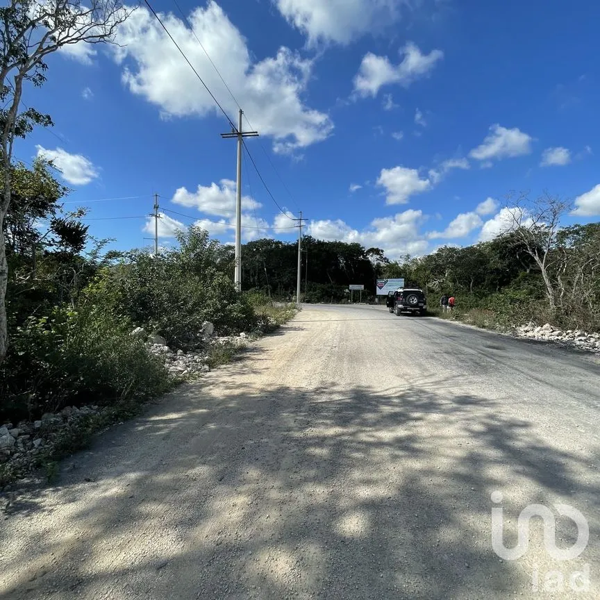 Terreno en Venta en Papagayos, Hunucmá, Yucatán | NEX-199028 | iad México | Foto 7 de 13