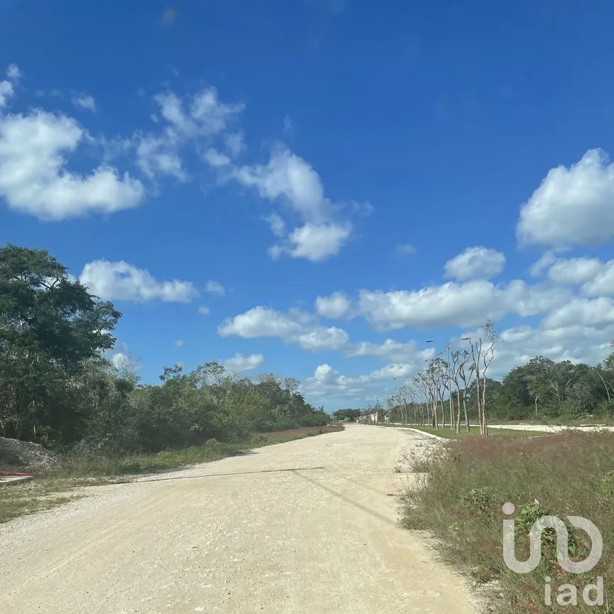 Terreno en Venta en Papagayos, Hunucmá, Yucatán | NEX-199028 | iad México | Foto 9 de 13