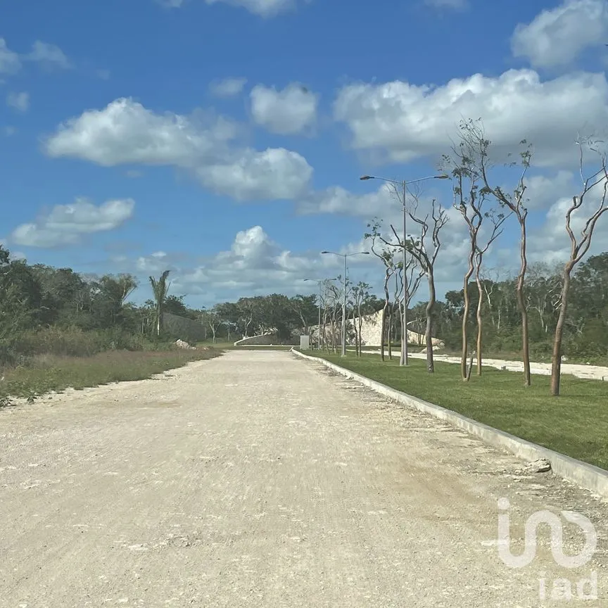Terreno en Venta en Papagayos, Hunucmá, Yucatán | NEX-199028 | iad México | Foto 10 de 13