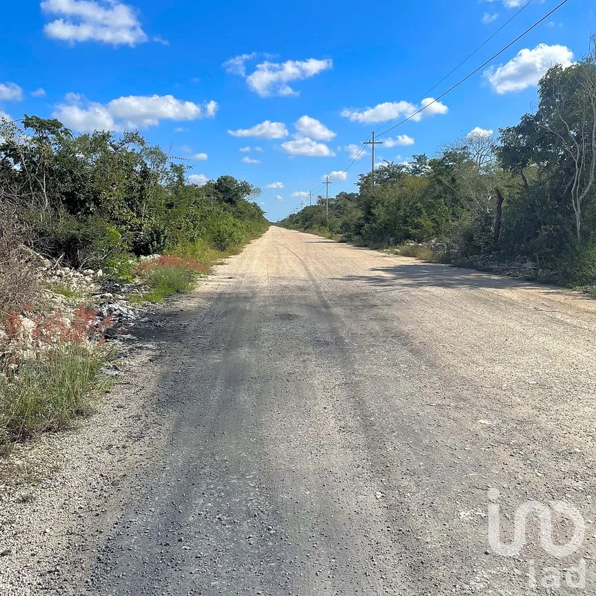 Terreno en Venta en Papagayos, Hunucmá, Yucatán | NEX-199028 | iad México | Foto 1 de 13
