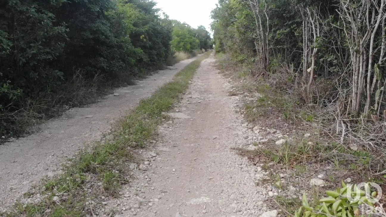 Terreno en Venta en Chicxulub Puerto, Progreso, Yucatán | NEX-199099 | iad México | Foto 5 de 11