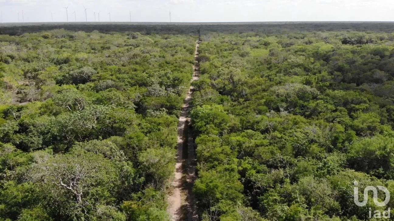 Terreno en Venta en Chicxulub Puerto, Progreso, Yucatán | NEX-199099 | iad México | Foto 6 de 11