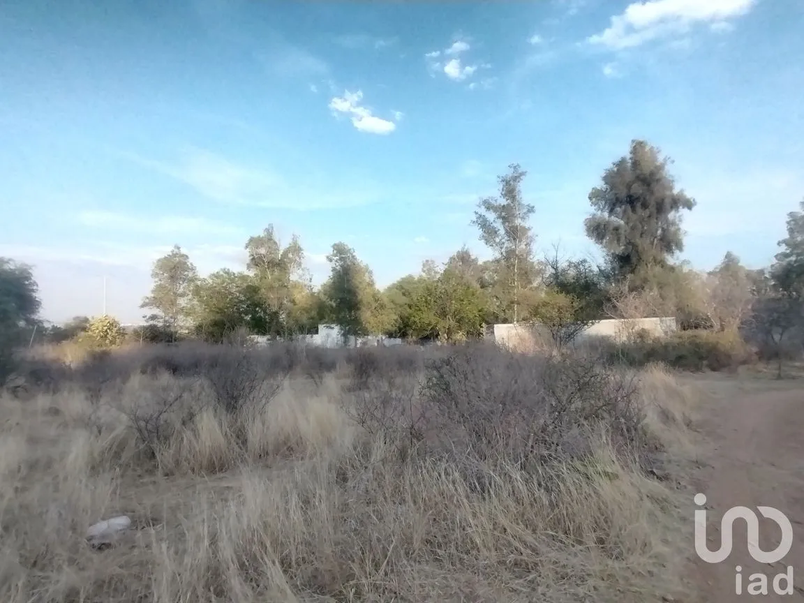 Terreno en Venta en La Tomatina, Jesús María, Aguascalientes | NEX-248660 | iad México | Foto 2 de 19