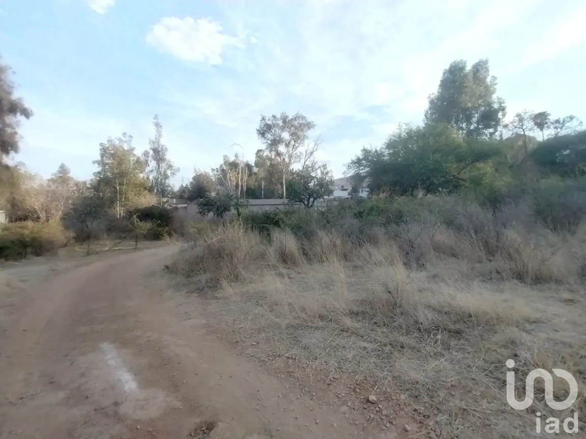 Terreno en Venta en La Tomatina, Jesús María, Aguascalientes | NEX-248660 | iad México | Foto 11 de 19