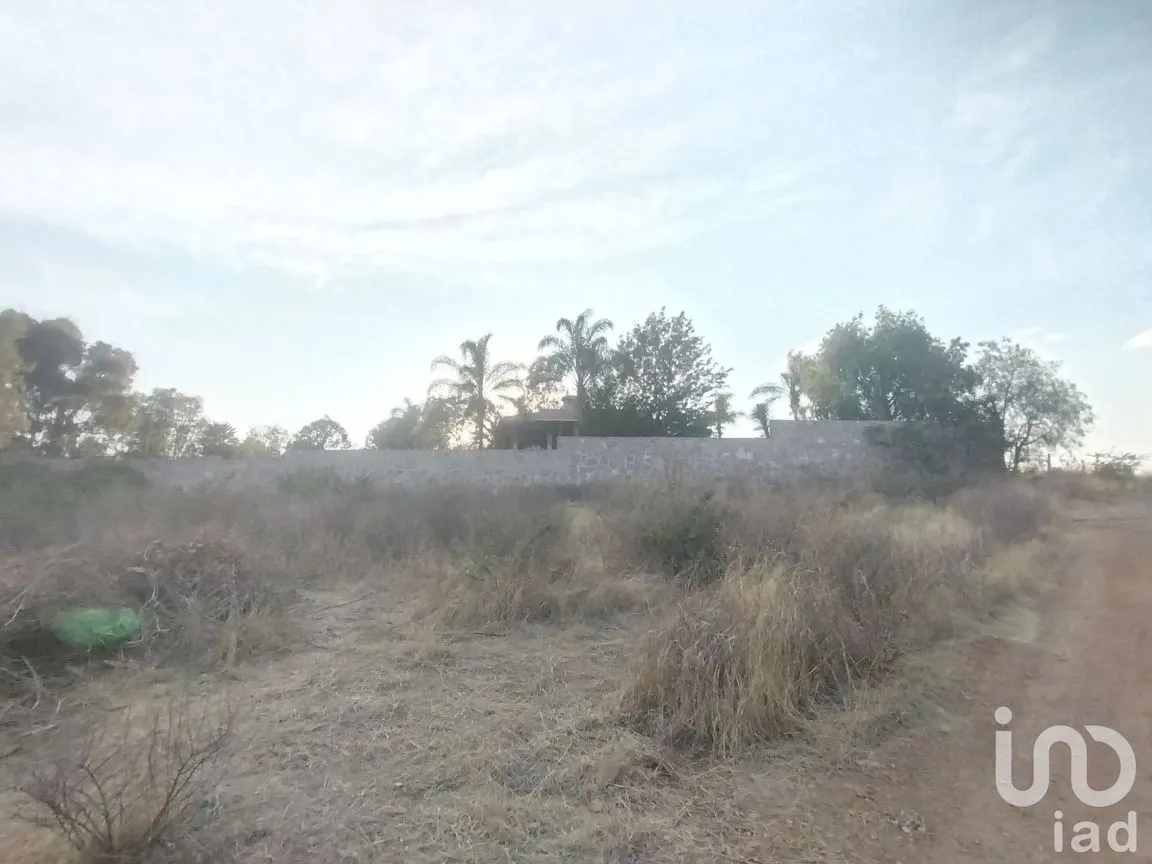 Terreno en Venta en La Tomatina, Jesús María, Aguascalientes | NEX-248660 | iad México | Foto 12 de 19