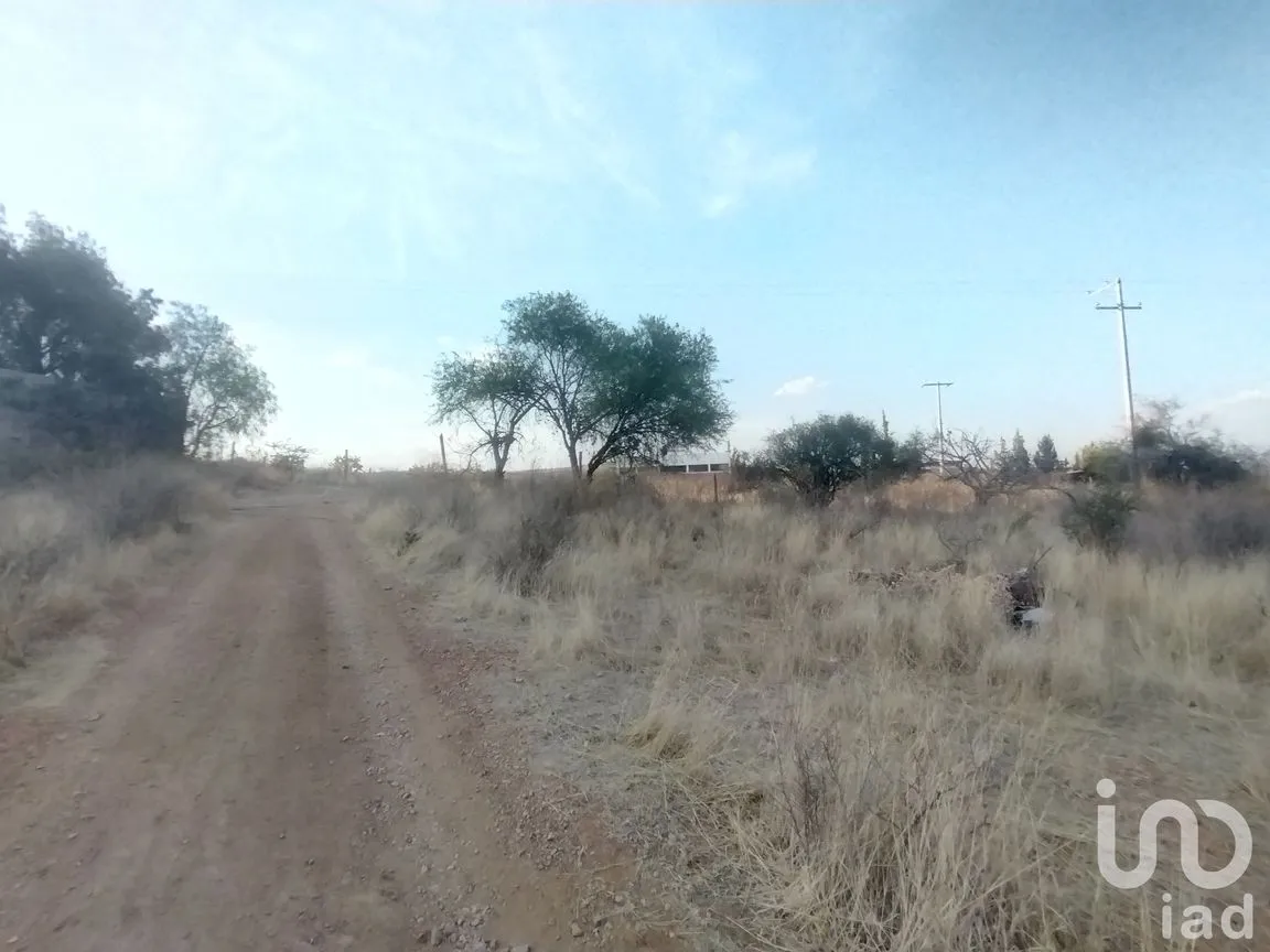 Terreno en Venta en La Tomatina, Jesús María, Aguascalientes | NEX-248660 | iad México | Foto 13 de 19