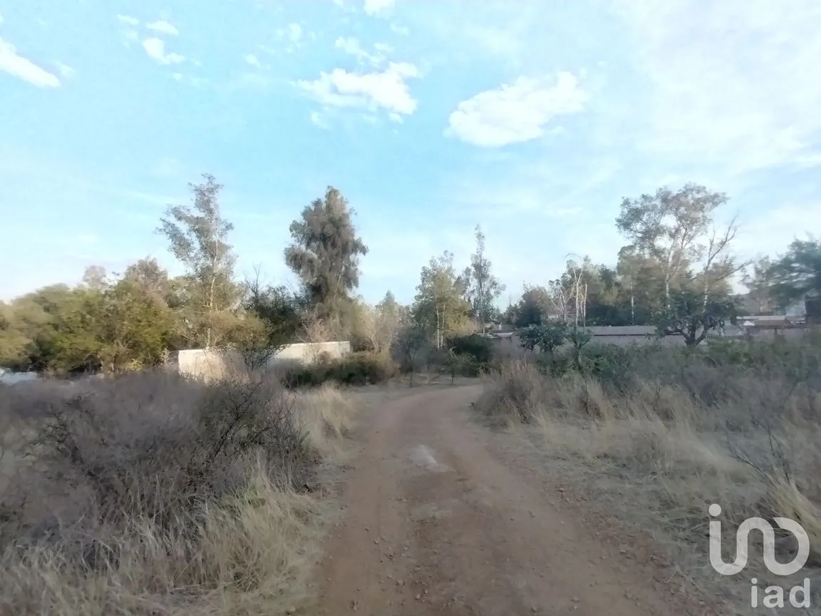 Terreno en Venta en La Tomatina, Jesús María, Aguascalientes | NEX-248660 | iad México | Foto 15 de 19