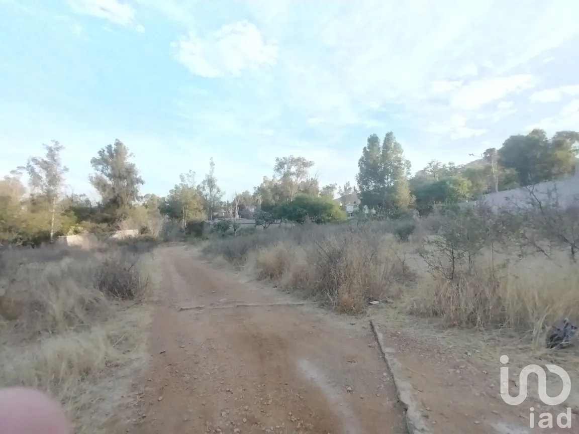 Terreno en Venta en La Tomatina, Jesús María, Aguascalientes | NEX-248660 | iad México | Foto 16 de 19