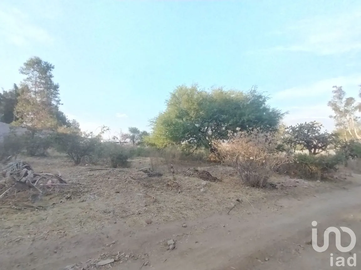 Terreno en Venta en La Tomatina, Jesús María, Aguascalientes | NEX-248660 | iad México | Foto 3 de 19
