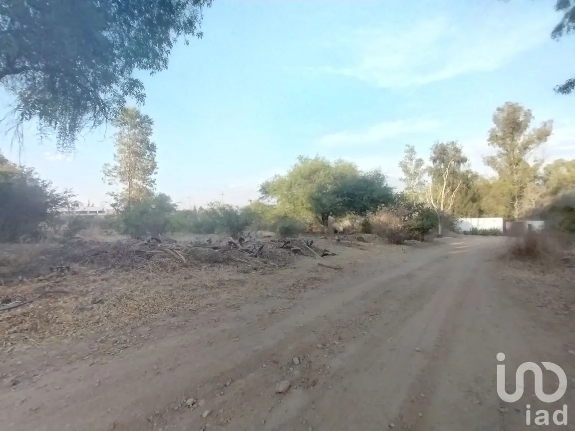 Terreno en Venta en La Tomatina, Jesús María, Aguascalientes | NEX-248660 | iad México | Foto 4 de 19