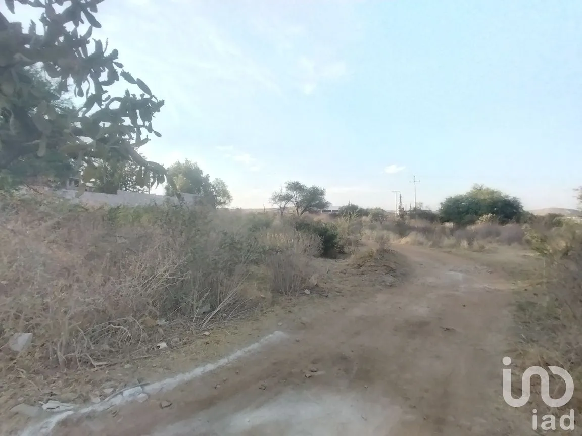Terreno en Venta en La Tomatina, Jesús María, Aguascalientes | NEX-248660 | iad México | Foto 6 de 19