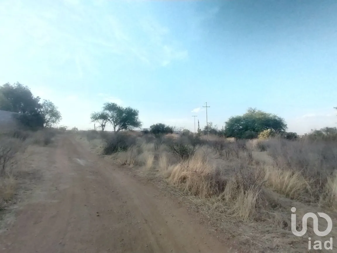 Terreno en Venta en La Tomatina, Jesús María, Aguascalientes | NEX-248660 | iad México | Foto 8 de 19