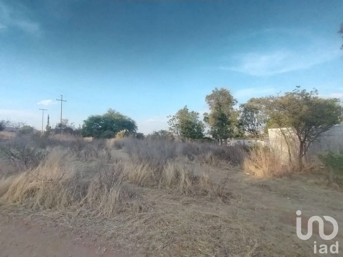 Terreno en Venta en La Tomatina, Jesús María, Aguascalientes | NEX-248660 | iad México | Foto 10 de 19
