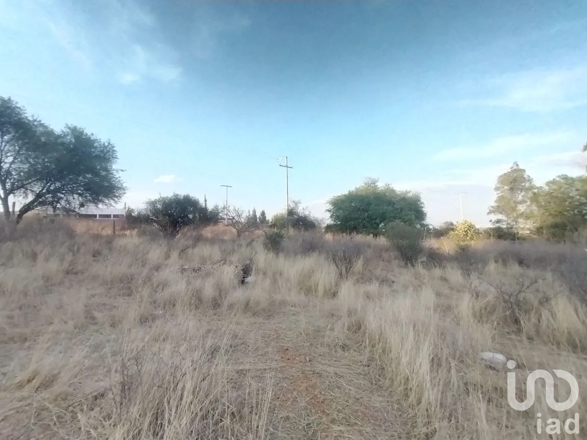 Terreno en Venta en La Tomatina, Jesús María, Aguascalientes | NEX-248660 | iad México | Foto 1 de 19