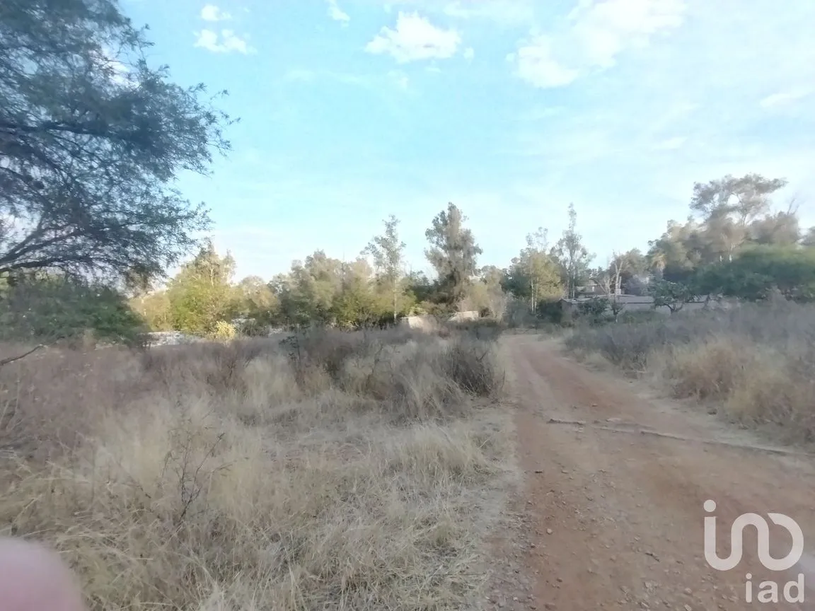 Terreno en Venta en La Tomatina, Jesús María, Aguascalientes | NEX-250930 | iad México | Foto 3 de 9