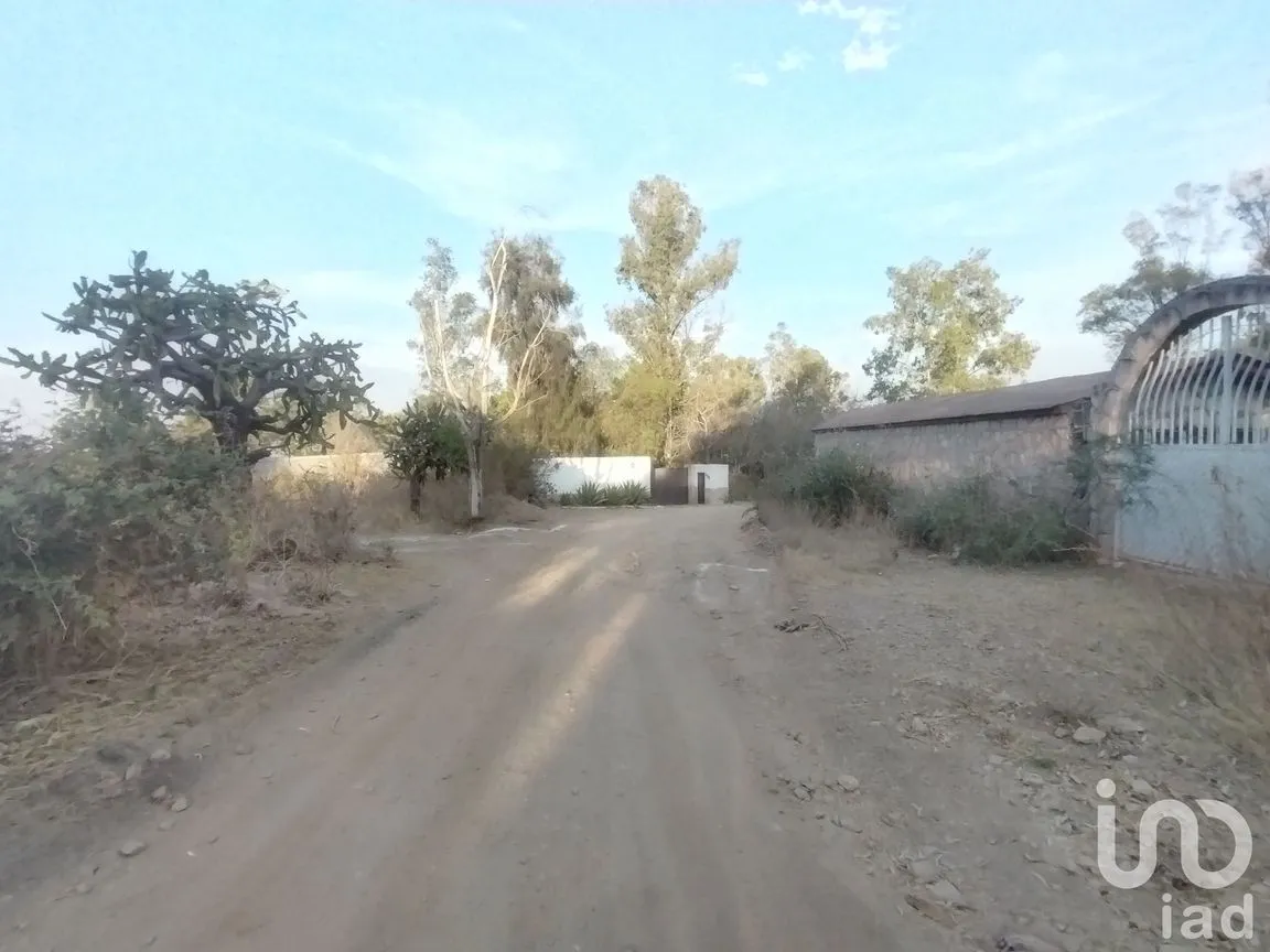 Terreno en Venta en La Tomatina, Jesús María, Aguascalientes | NEX-250930 | iad México | Foto 7 de 9