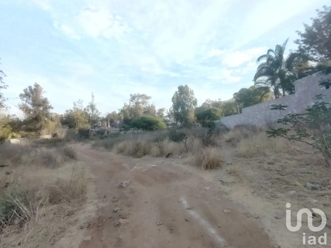 Terreno en Venta en La Tomatina, Jesús María, Aguascalientes | NEX-250930 | iad México | Foto 9 de 9