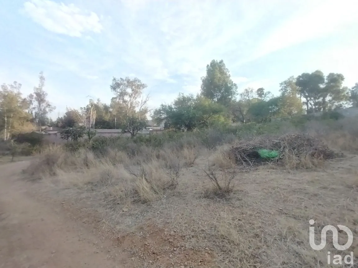 Terreno en Venta en La Tomatina, Jesús María, Aguascalientes | NEX-250930 | iad México | Foto 1 de 9